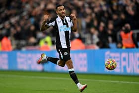 Callum Wilson's strike earned Newcastle United all three points against Burnley on Saturday (Photo by Stu Forster/Getty Images)