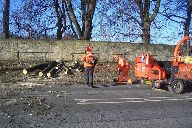 Reader Leslie Scott praised Sunderland City Council after its staff quickly removed at tree which blocked the A690 at West Park.