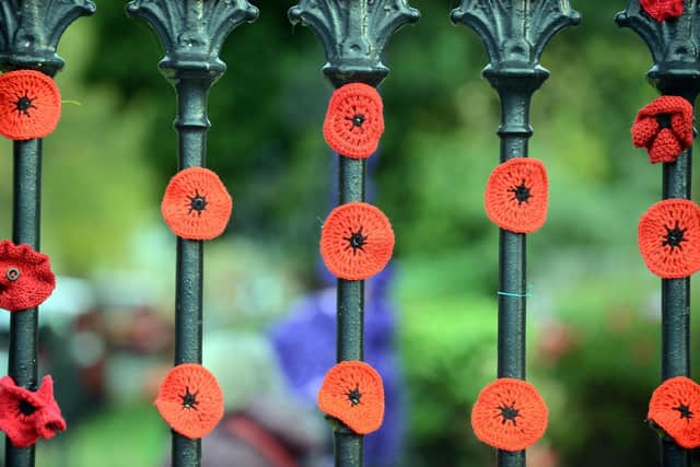 Poppies line the fence