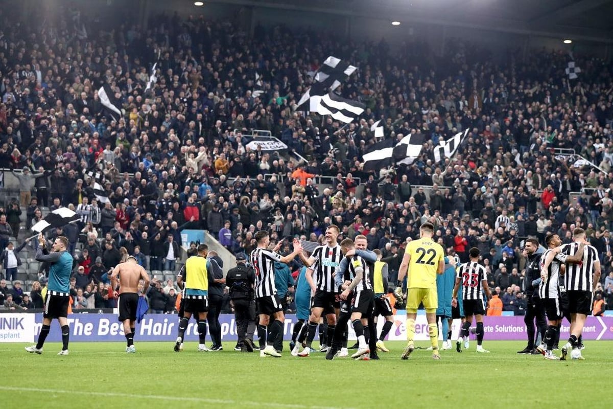 Show it! Newcastle United’s stars are the biggest on Twitter and Instagram – and the surprise leader
| Tech Reddy