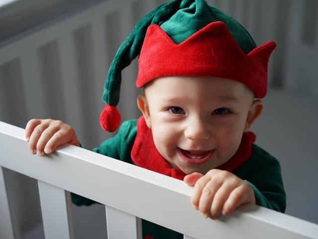Eight-month-old Ralph. Picture: Olga Vino