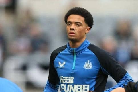 Newcastle United's English-born Northern Irish defender Jamal Lewis.(Photo by LINDSEY PARNABY/AFP via Getty Images)