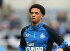 Newcastle United's English-born Northern Irish defender Jamal Lewis.(Photo by LINDSEY PARNABY/AFP via Getty Images)