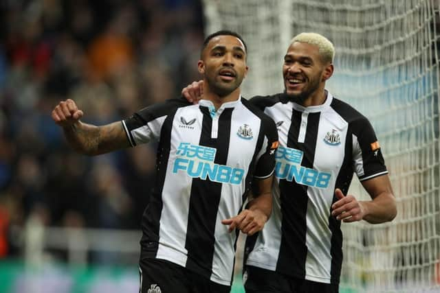 Callum Wilson celebrates scoring Newcastle's winner against Burnley. (Photo by Ian MacNicol/Getty Images)