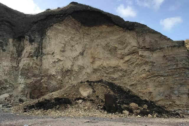 Northumbria Police and the Coastguard launched a joint operation in the aftermath of the incident. Picture: Samantha Lawson.