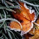 Ice crystals on a frozen leaf during frosty weather. Photo credit: Victoria Jones/PA Wire