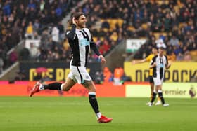 Jeff Hendrick scoring against Wolves. Naomi Baker/Getty Images