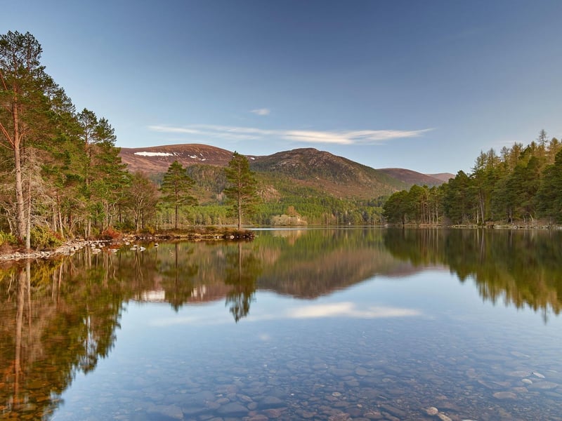 A walk around the 5 mile path around Loch an Eilein, near Aviemore, offers the chance to spot red squirrels and other wildlife while enjoying views of the picturesque ruined castle on an island in the middle of the loch.