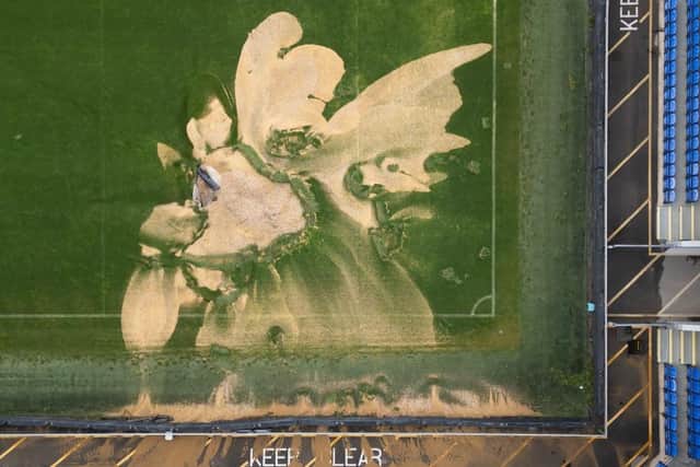 DAMAGE: An aerial view of the sinkhole in the Plough Lane pitch caused by flooding