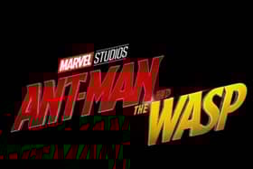 Only in the MCU do sequels regularly outrank their forerunners, with Ant-Man and the Wasp scoring 87%. Paul Rudd and Evangeline Lilly bring a lighter note to the MCU, while also paving the way for the Avengers to save half of the universe with their foray into the Quantum Realm.