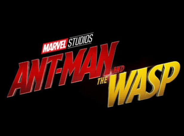 <p>Only in the MCU do sequels regularly outrank their forerunners, with Ant-Man and the Wasp scoring 87%. Paul Rudd and Evangeline Lilly bring a lighter note to the MCU, while also paving the way for the Avengers to save half of the universe with their foray into the Quantum Realm.</p>