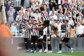 Newcastle United face Fulham at Craven Cottage this weekend (Photo by Clive Brunskill/Getty Images)