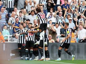 Newcastle United face Fulham at Craven Cottage this weekend (Photo by Clive Brunskill/Getty Images)