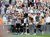 Newcastle United face Fulham at Craven Cottage this weekend (Photo by Clive Brunskill/Getty Images)
