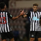 Joelinton celebrates scoring with Jacob Murphy.