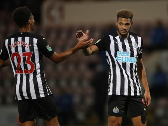 Joelinton celebrates scoring with Jacob Murphy.