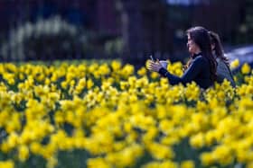 People are being urged to head to quieter spots as these two did in their local park on the first day of the easing of England's lockdown restrictions allowing six people to mix outdoors. Picture date: Monday March 29, 2021.