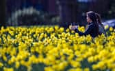 People are being urged to head to quieter spots as these two did in their local park on the first day of the easing of England's lockdown restrictions allowing six people to mix outdoors. Picture date: Monday March 29, 2021.