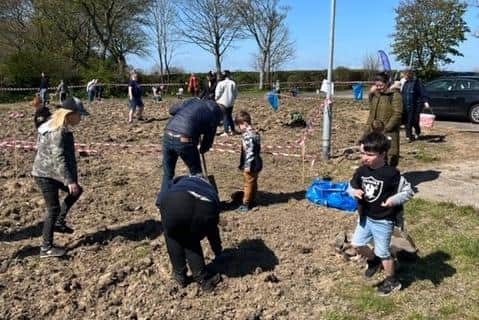 Wildflower meadow event