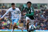 Jamal Lewis will miss Northern Ireland's friendly against Romania in Bucharest. 
