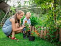 Green-fingered people burn a lot of calories taking care of their garden. For example, planting fruit and vegetable seeds or plants for 20 minutes burns 105 calories