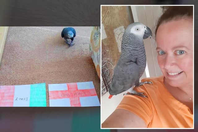Mac the parrot about to make his score prediction and, inset, with owner Allison. Pictures: Allison St Clair.