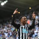 Newcastle United fans want Joe Willock to sign permanently from Arsenal. (Photo by Stu Forster/Getty Images)