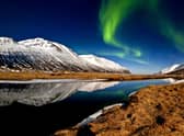 Flights between Newcastle and Iceland have gone on sale.