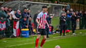 Sunderland’s Ellis Taylor