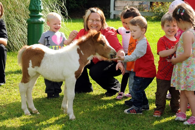 Youngsters at The Horseshoe Nursery looked delighted when they met a new Shetland Pony foal 9 years ago.