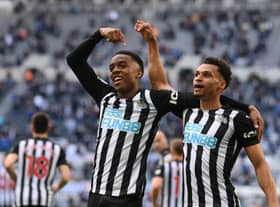 Joe Willock celebrates with Jacob Murphy at Newcastle United. (Photo by Stu Forster/Getty Images)