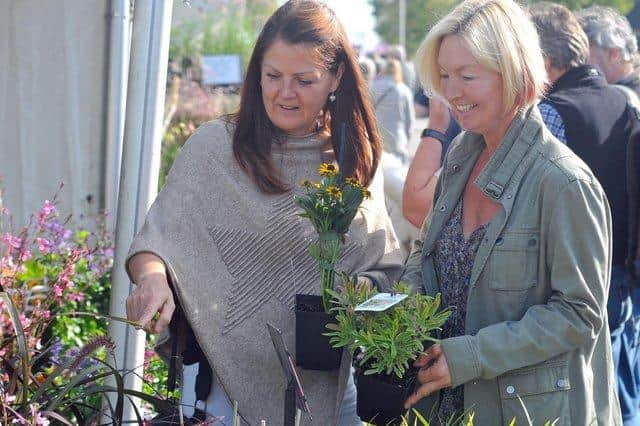 The trip is on Sunday, April 24. Image from Harrogate Flower Show.