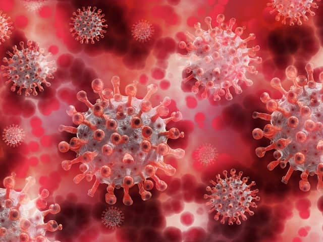 Key scientist says a Covid-19 vaccine could soon be deemed safe to use