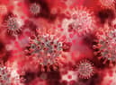 Key scientist says a Covid-19 vaccine could soon be deemed safe to use