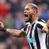 Joelinton of Newcastle United celebrates after their sides victory during the Premier League match between Newcastle United and Chelsea FC at St. James Park on November 12, 2022 in Newcastle upon Tyne, England. (Photo by George Wood/Getty Images)