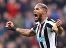 Joelinton of Newcastle United celebrates after their sides victory during the Premier League match between Newcastle United and Chelsea FC at St. James Park on November 12, 2022 in Newcastle upon Tyne, England. (Photo by George Wood/Getty Images)