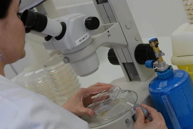 Syphilis rates rise across South Tyneside with 500% increase in one year Credit: AFP PHOTO MEHDI FEDOUACH