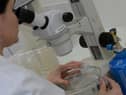 Syphilis rates rise across South Tyneside with 500% increase in one year Credit: AFP PHOTO MEHDI FEDOUACH