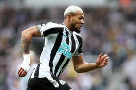 Joelinton of Newcastle United in action during the Premier League match between Newcastle United and Tottenham Hotspur at St. James Park on April 23, 2023 in Newcastle upon Tyne, England. (Photo by Clive Brunskill/Getty Images)