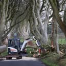 The strong winds overnight from Storm Isha has caused havoc across the country.
Photo Stephen Davison/Pacemaker Press