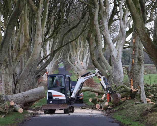 The strong winds overnight from Storm Isha has caused havoc across the country.
Photo Stephen Davison/Pacemaker Press
