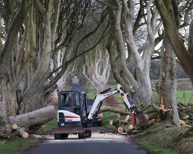 The strong winds overnight from Storm Isha has caused havoc across the country.
Photo Stephen Davison/Pacemaker Press