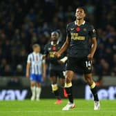 Isaac Hayden of Newcastle United celebrates after scoring their team's first goal during the Premier League match between Brighton & Hove Albion and Newcastle United at American Express Community Stadium on November 06, 2021 in Brighton, England. (Photo by Charlie Crowhurst/Getty Images)