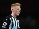 Matty Longstaff playing for Newcastle United.