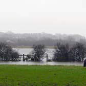The first week of January is set to be quite windy in South Tyneside.