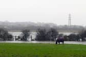 The first week of January is set to be quite windy in South Tyneside.