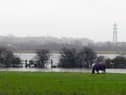 The first week of January is set to be quite windy in South Tyneside.