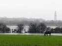 The first week of January is set to be quite windy in South Tyneside.