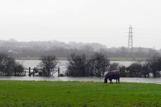 The first week of January is set to be quite windy in South Tyneside.