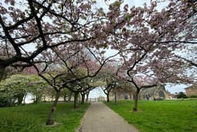 Empty parks on Easter Monday.